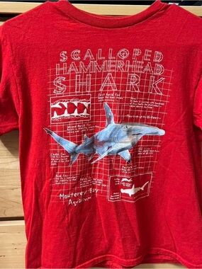 Scalloped Hammerhead Shark Graphic Tee - Red